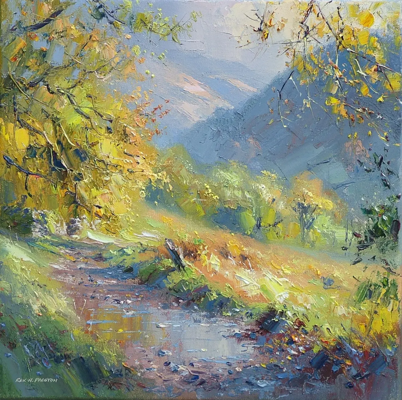 Rex Preston - woodland footpath, near seatoller, borrowdale